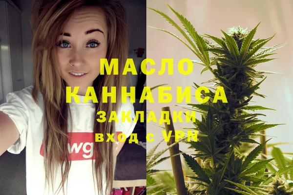 хмурый Арсеньев