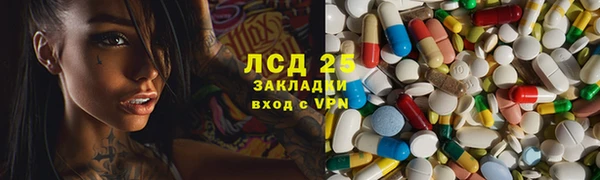хмурый Арсеньев