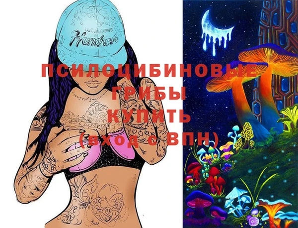 прущие грибы Аркадак