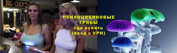 хмурый Арсеньев