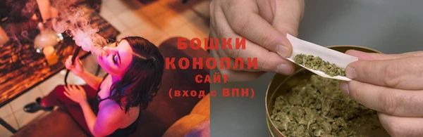 прущие грибы Аркадак