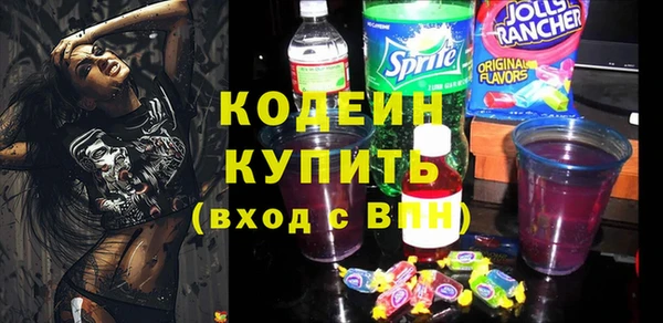 хмурый Арсеньев