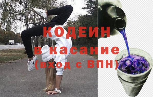 хмурый Арсеньев