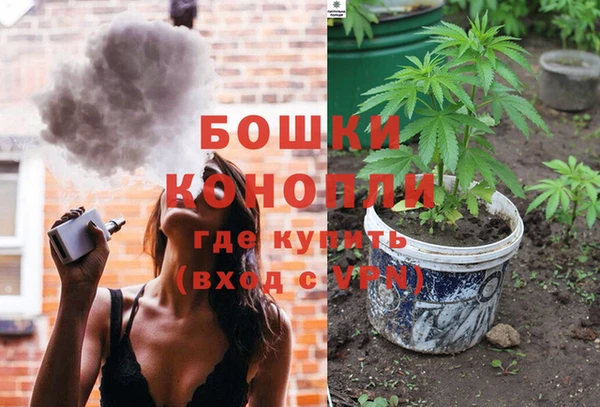 прущие грибы Аркадак