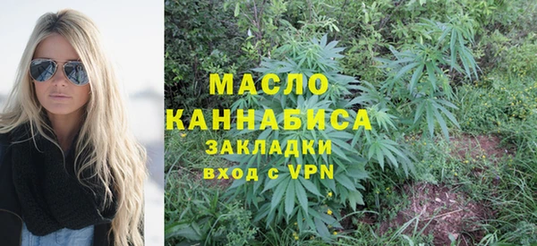 хмурый Арсеньев